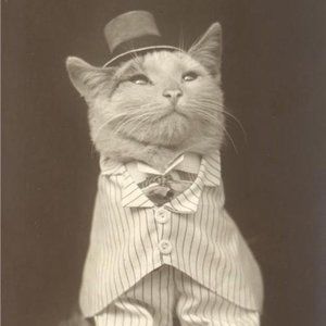 Meet your Posher, Yvette